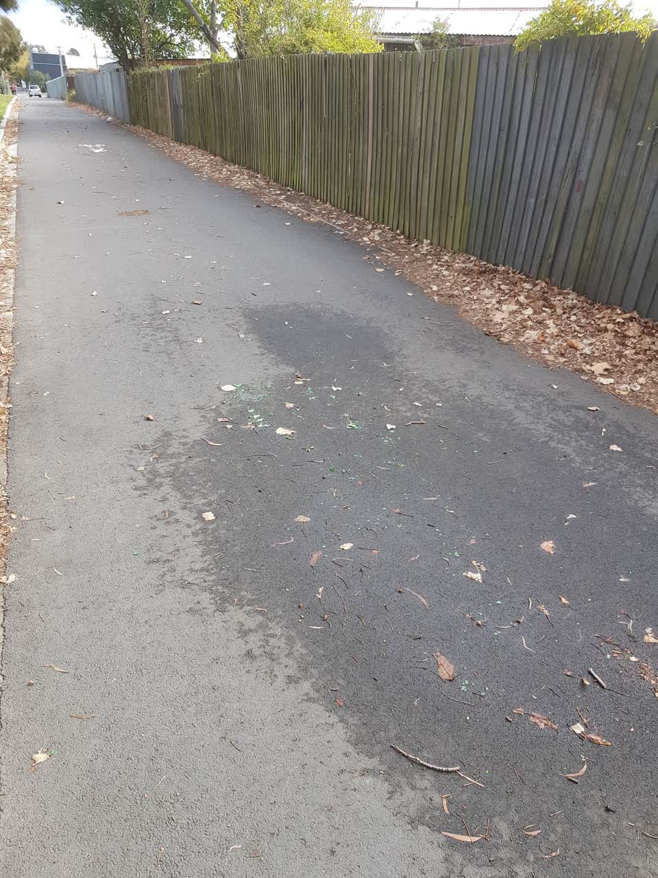 The photograph attached to this rubbish/recycling report