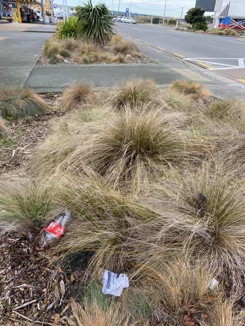 Rubbish/Recycling, a report photo