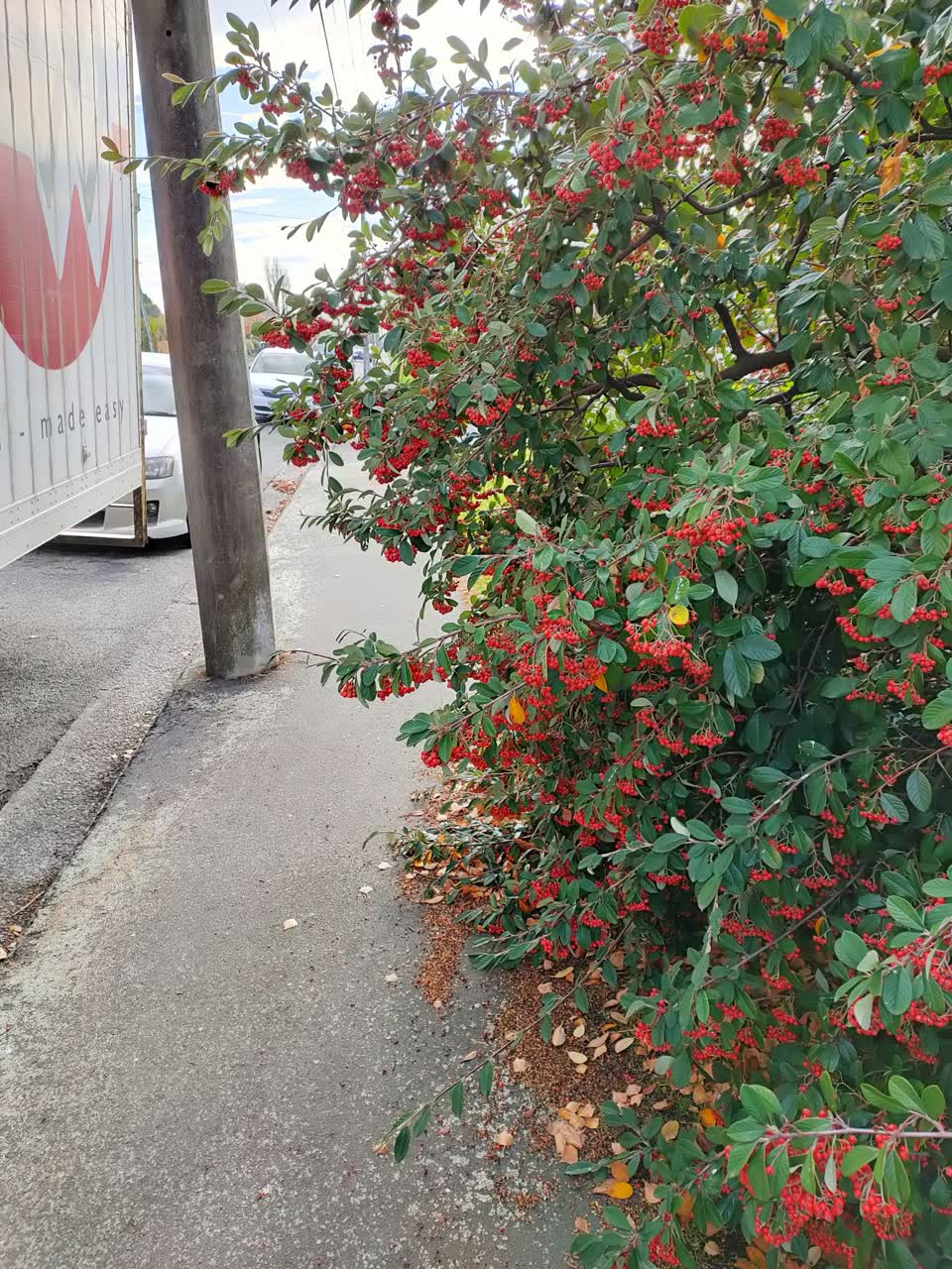 The photograph attached to this roading/streets report