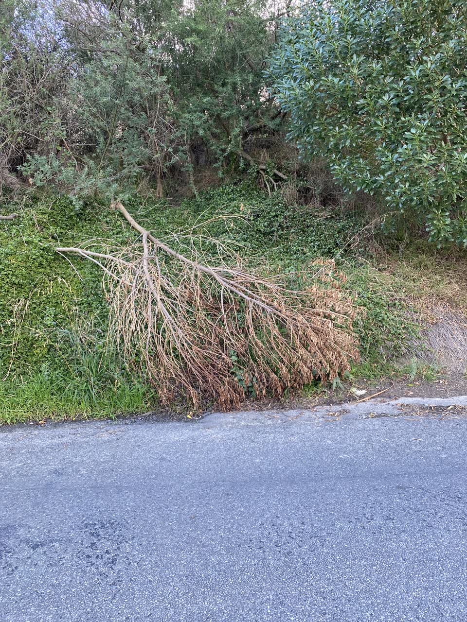 The photograph attached to this roading/streets report