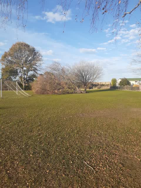 Parks, a report photo