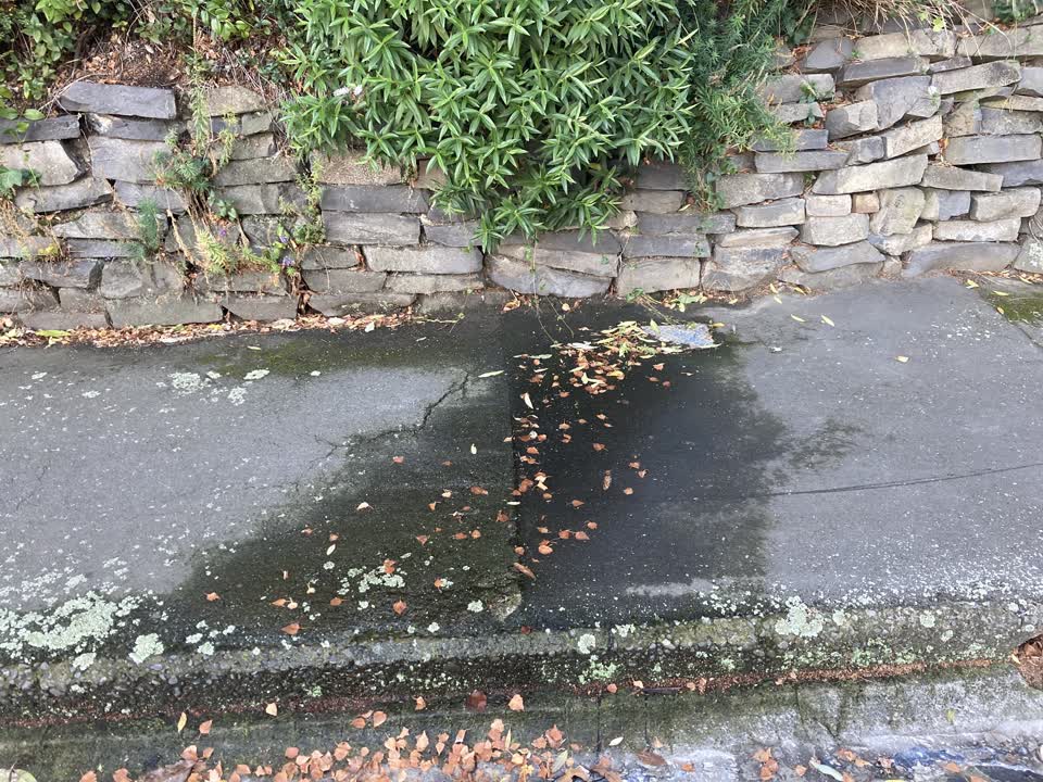 The photograph attached to this water leak report
