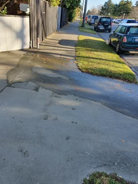 Water Leak, a report photo