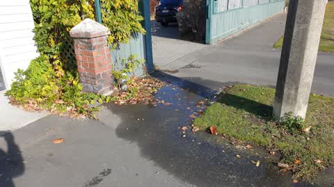 Water Leak, a report photo