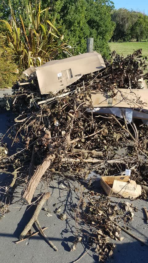 Rubbish/Recycling, a report photo