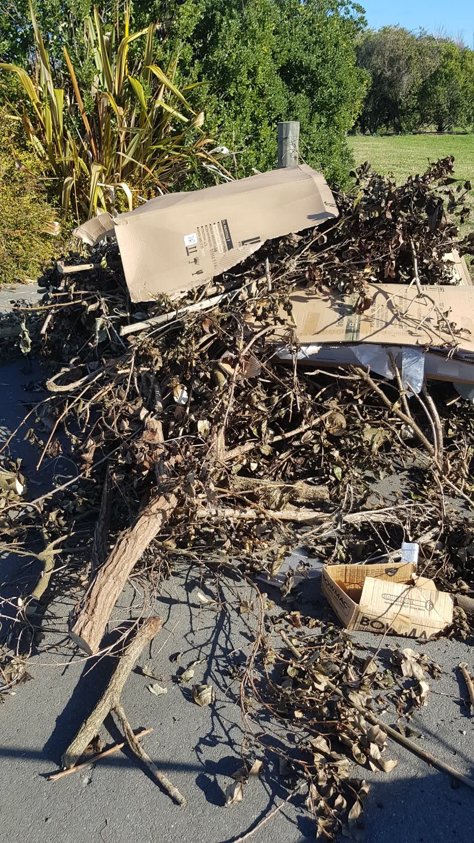 The photograph attached to this rubbish/recycling report