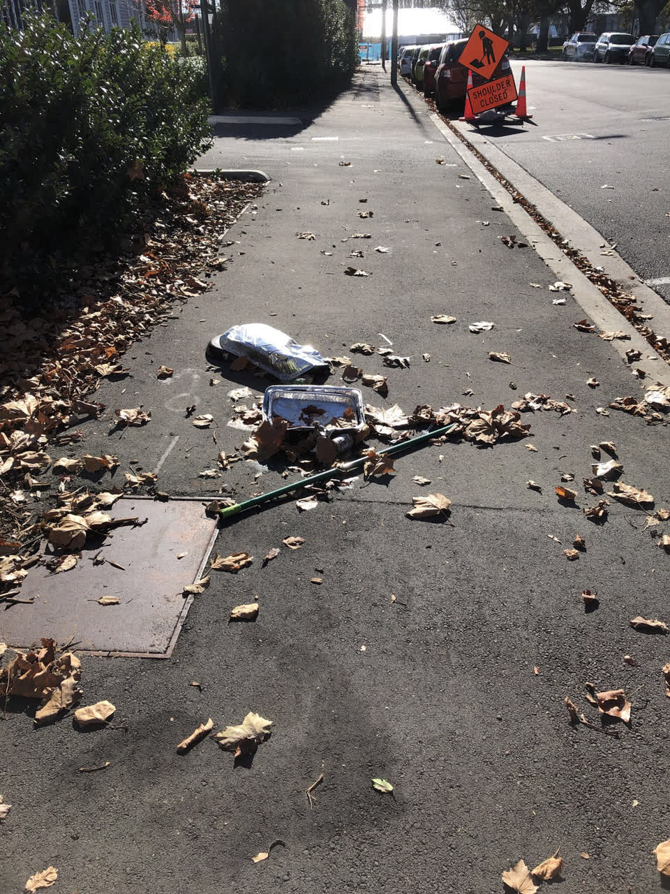The photograph attached to this roading/streets report
