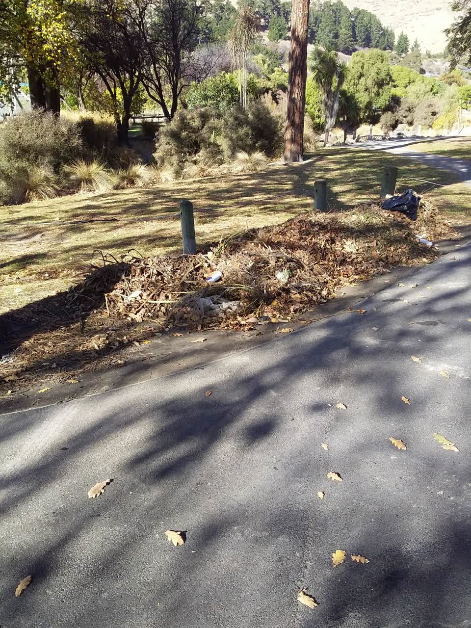 The photograph attached to this parks report