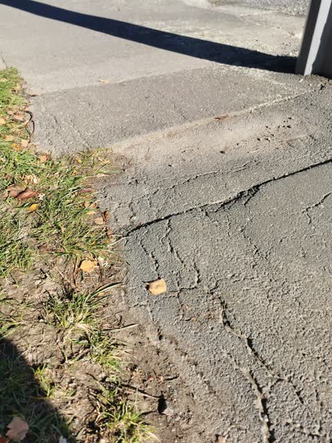 Roading/Streets, a report photo