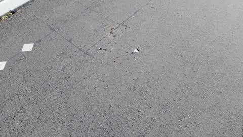 Roading/Streets, a report photo
