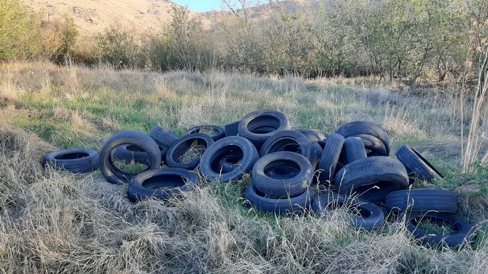 The photograph attached to this rubbish/recycling report