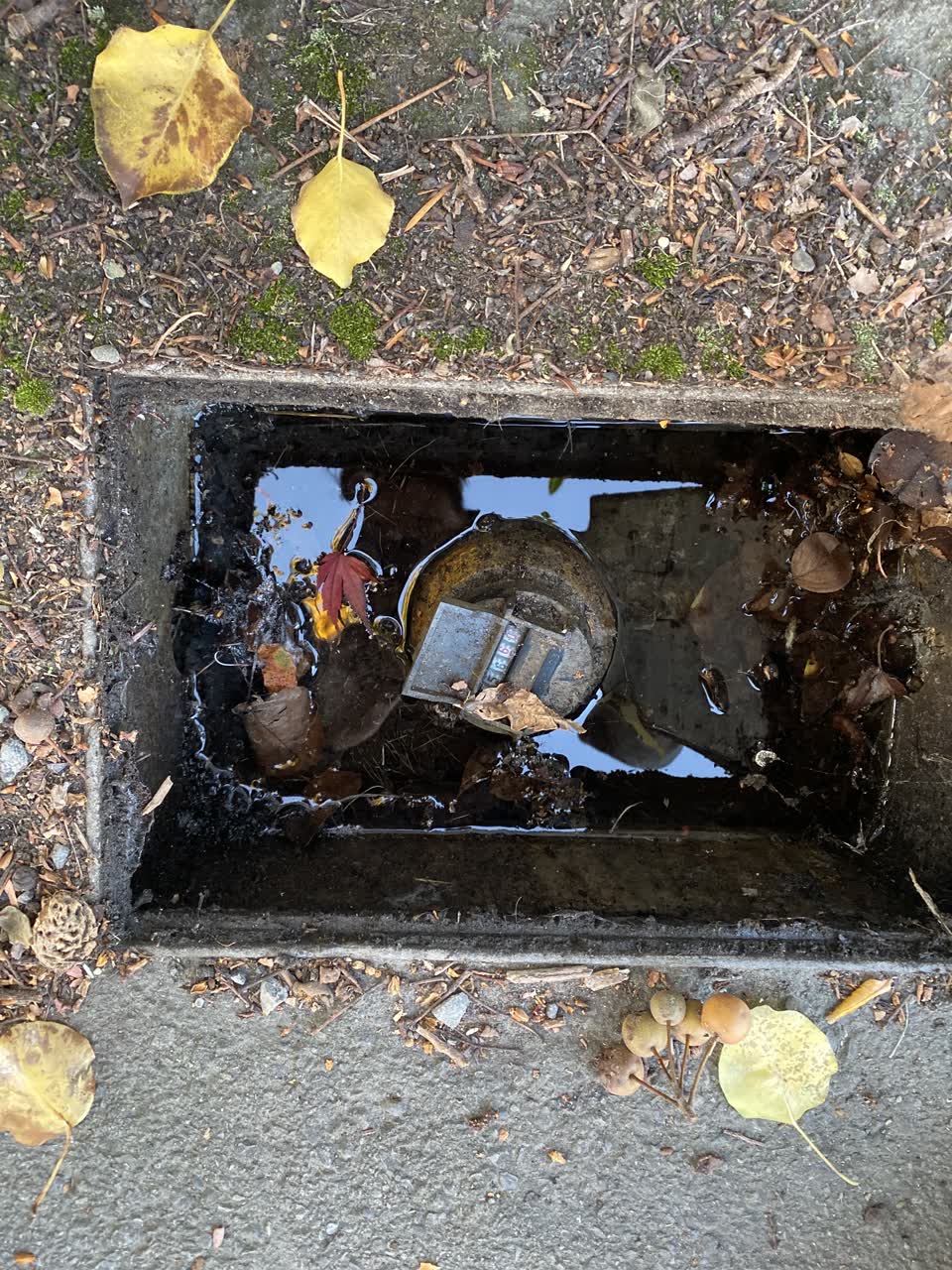 The photograph attached to this water leak report