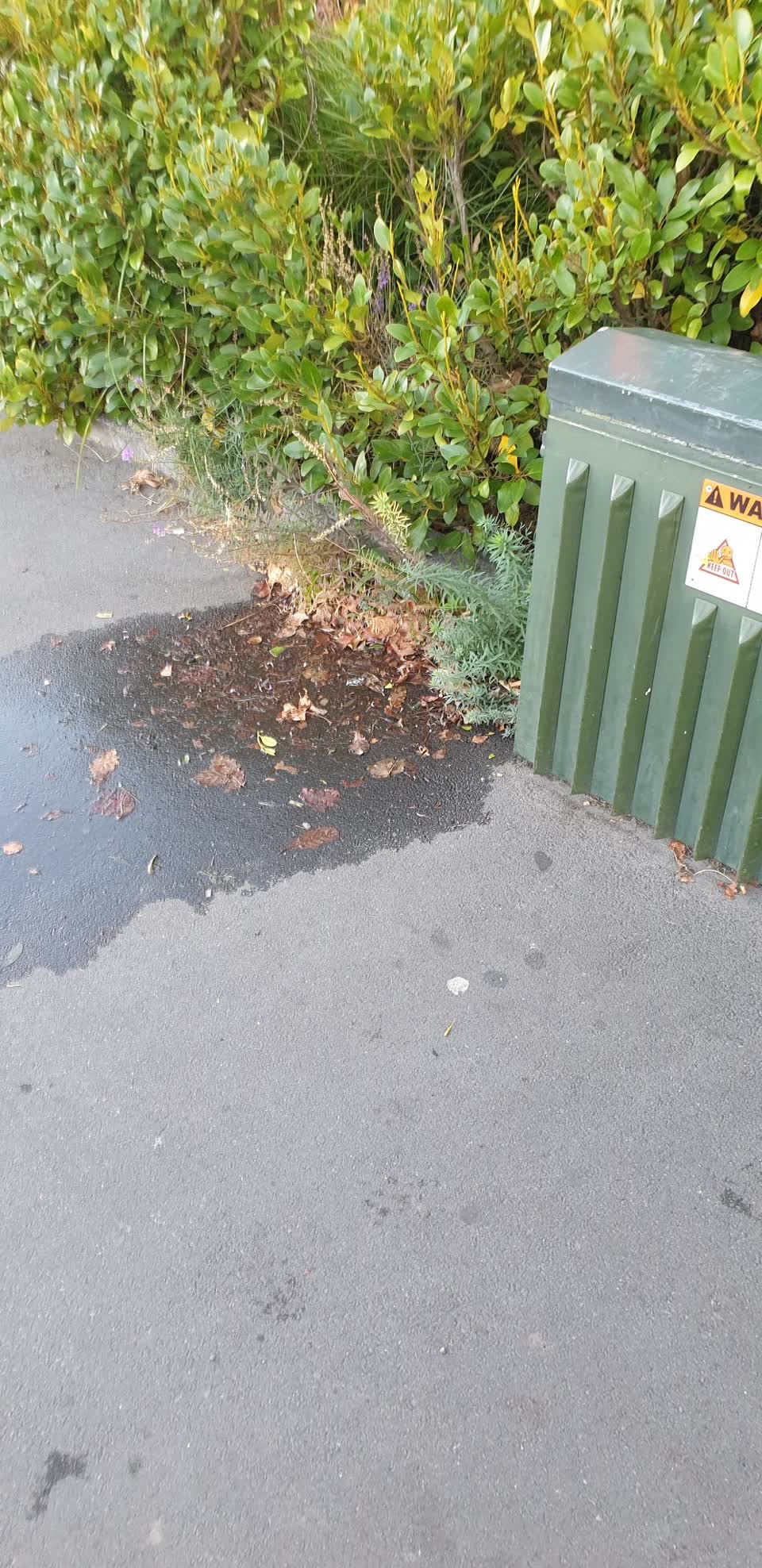 The photograph attached to this water leak report