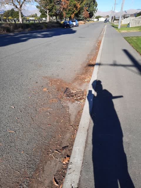 Roading/Streets, a report photo