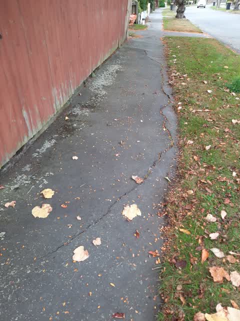 Roading/Streets, a report photo