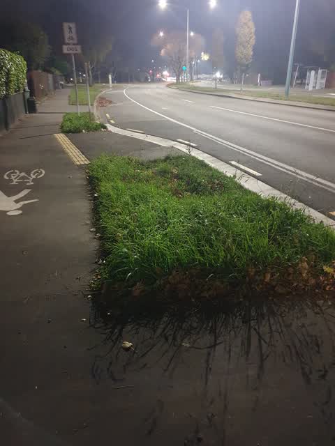 Roading/Streets, a report photo