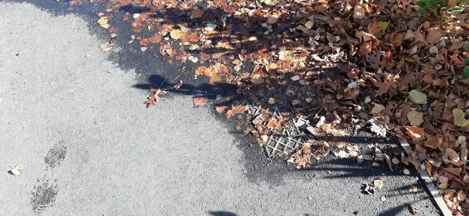 The photograph attached to this water leak report