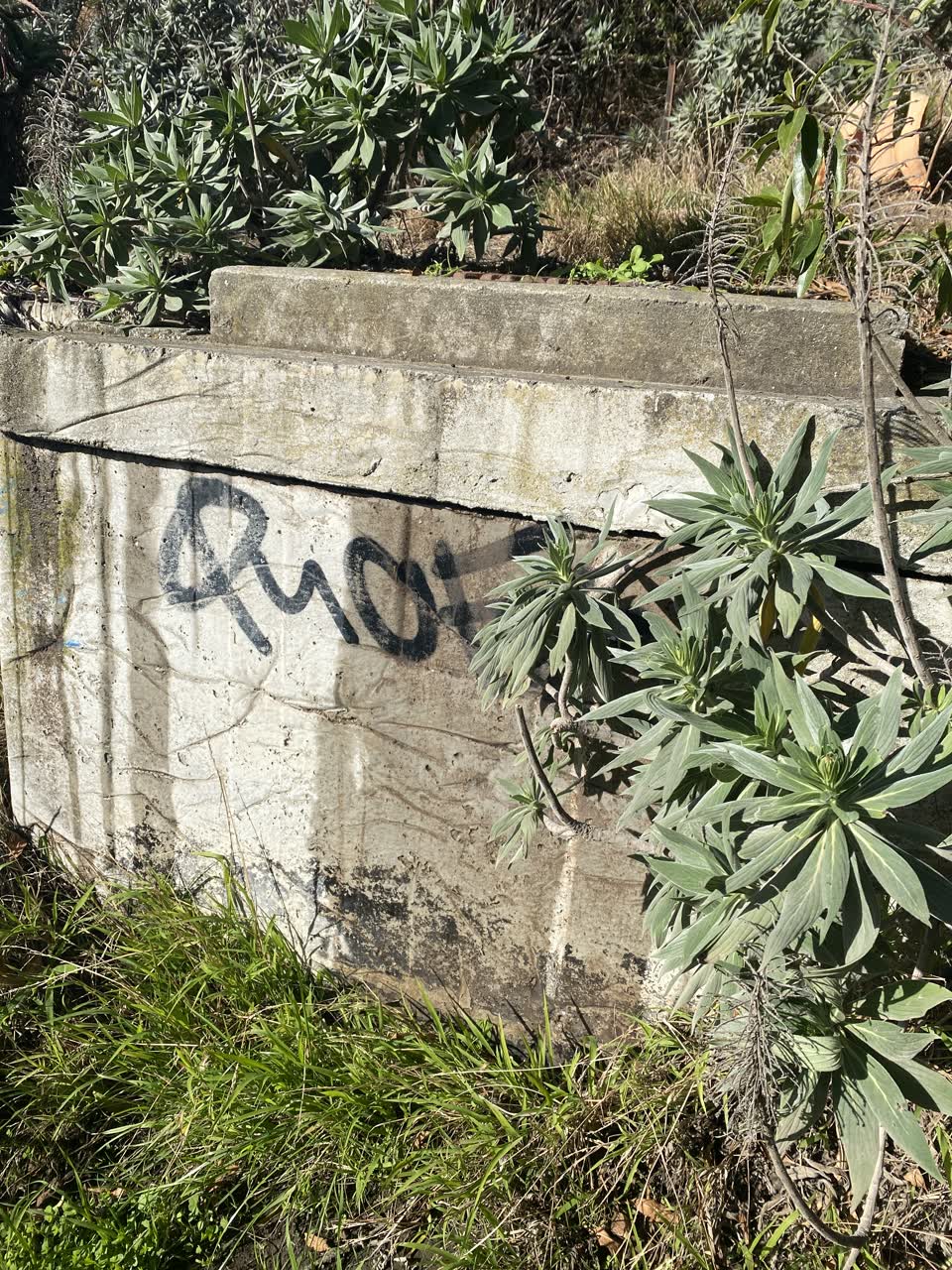 The photograph attached to this wastewater/stormwater report