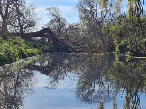 General Request, a report photo