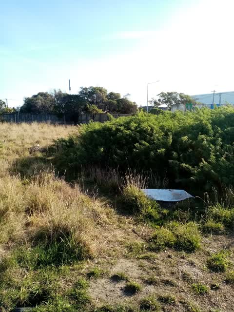 Rubbish/Recycling — a report photo