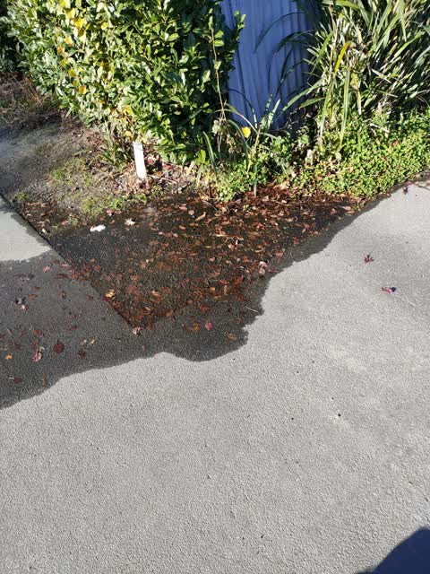 Water Leak, a report photo