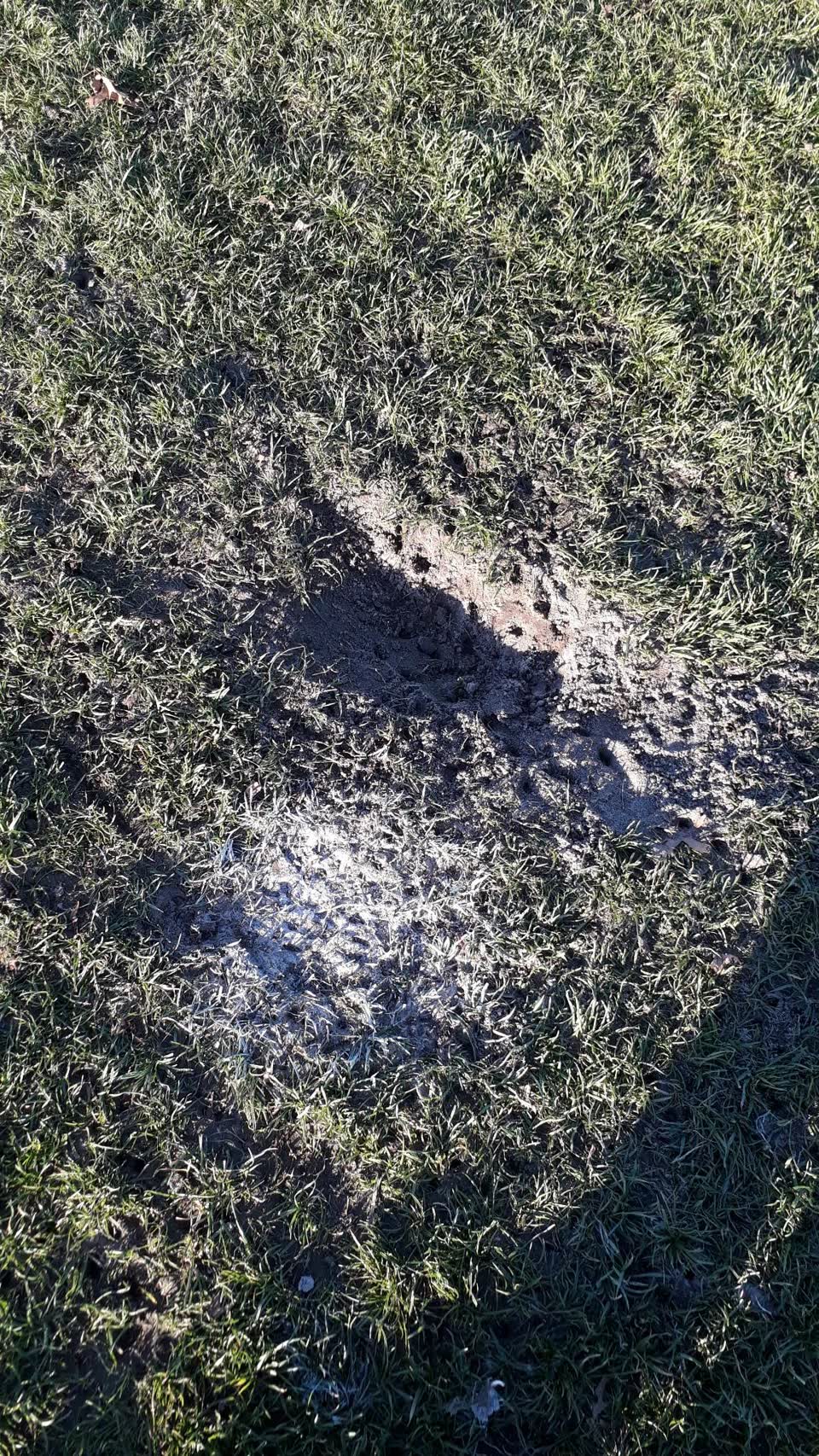 The photograph attached to this parks report