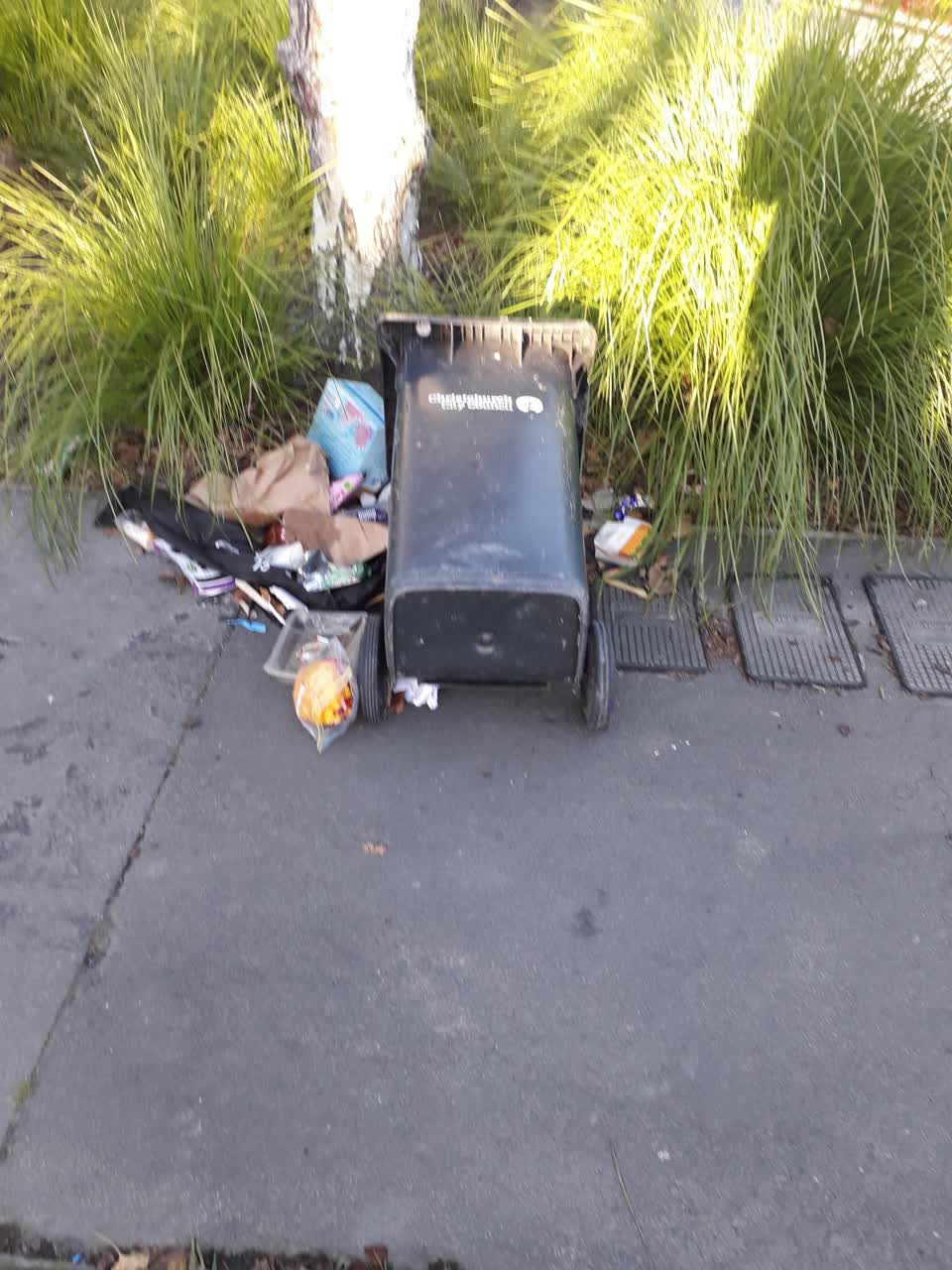 The photograph attached to this rubbish/recycling report