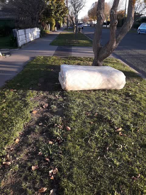 Rubbish/Recycling, a report photo