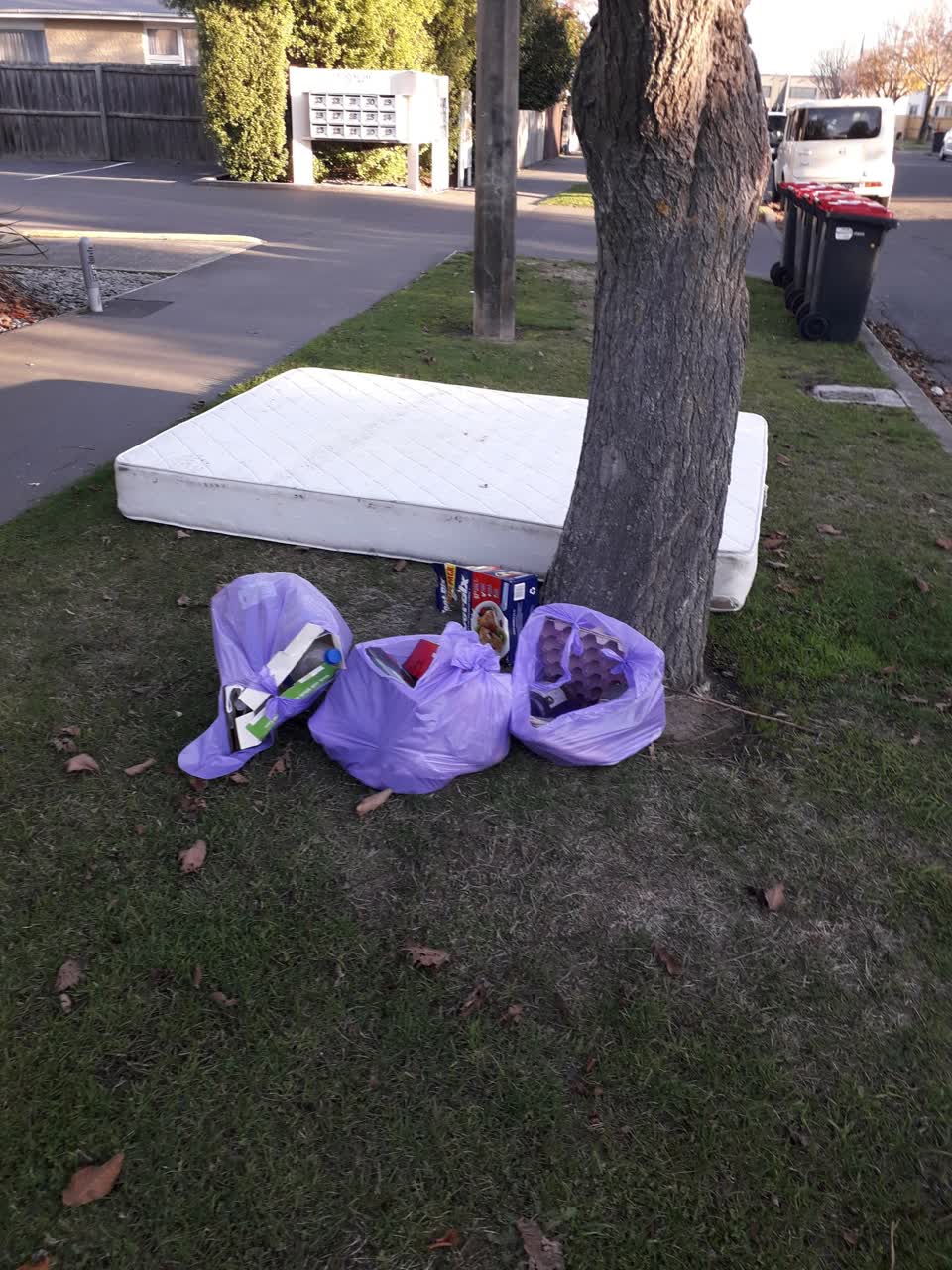 The photograph attached to this rubbish/recycling report