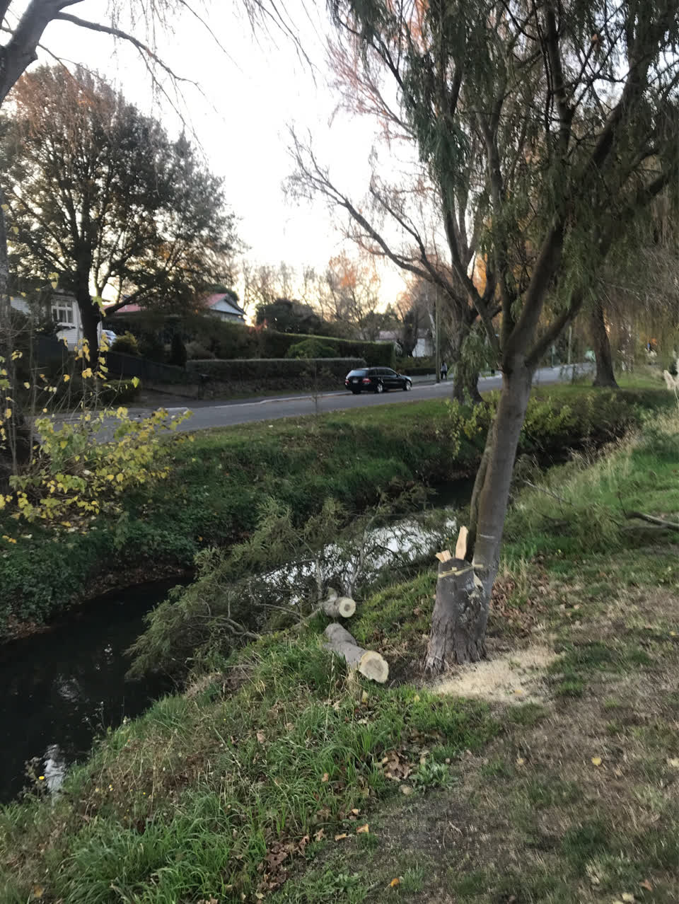 The photograph attached to this parks report