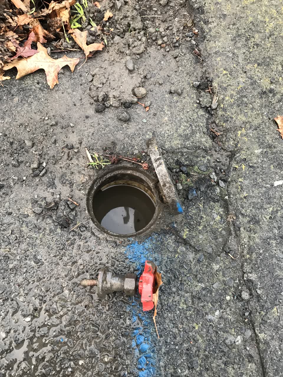 The photograph attached to this water supply report