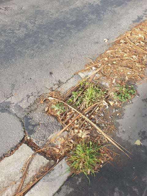 Roading/Streets, a report photo