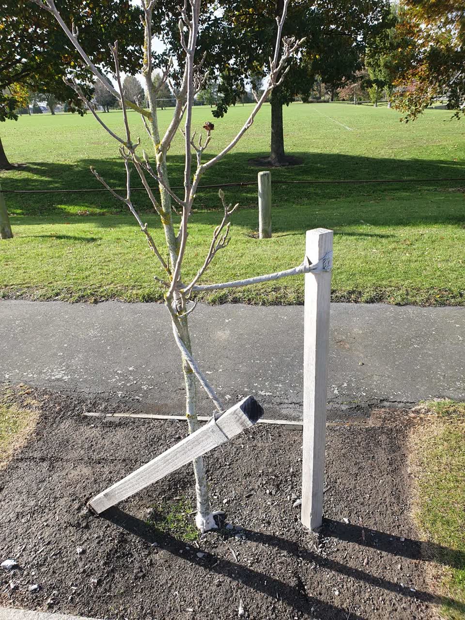 The photograph attached to this parks report