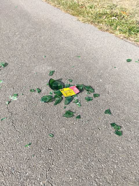 Rubbish/Recycling, a report photo