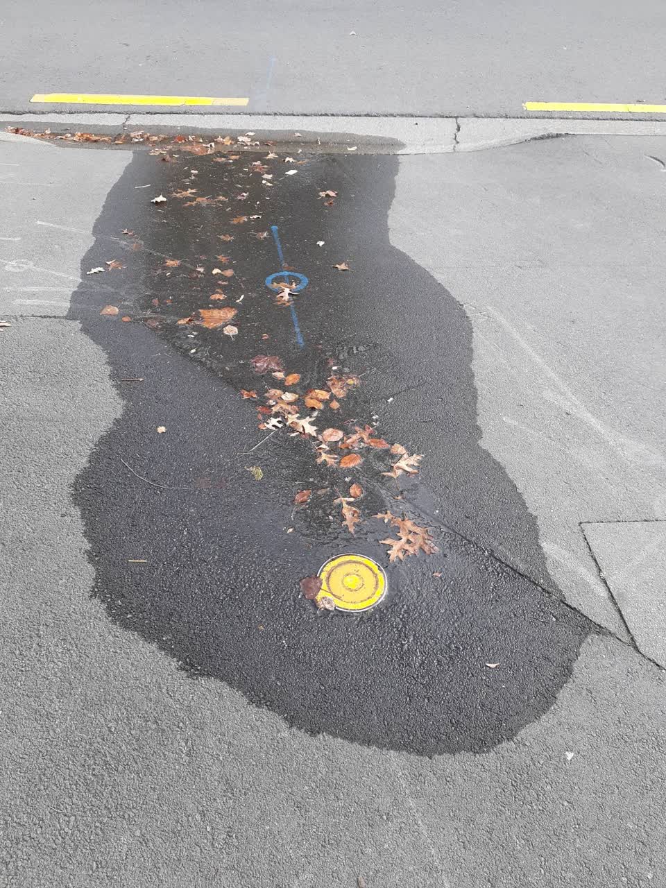 The photograph attached to this water leak report