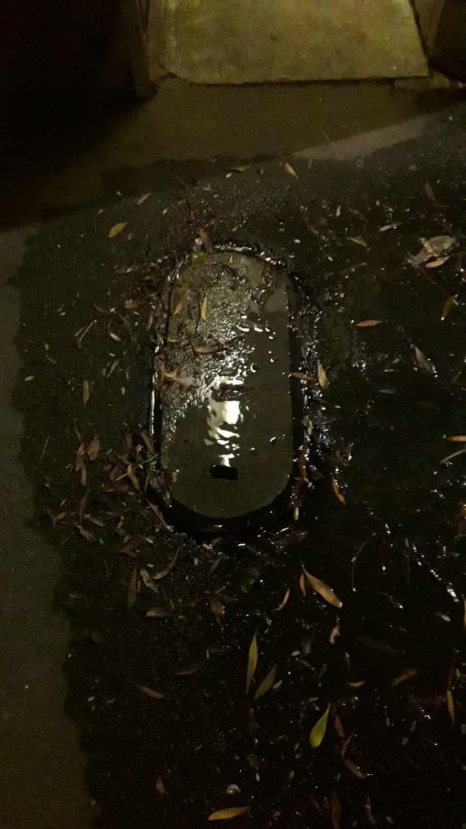 The photograph attached to this water leak report