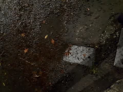Water Leak, a report photo