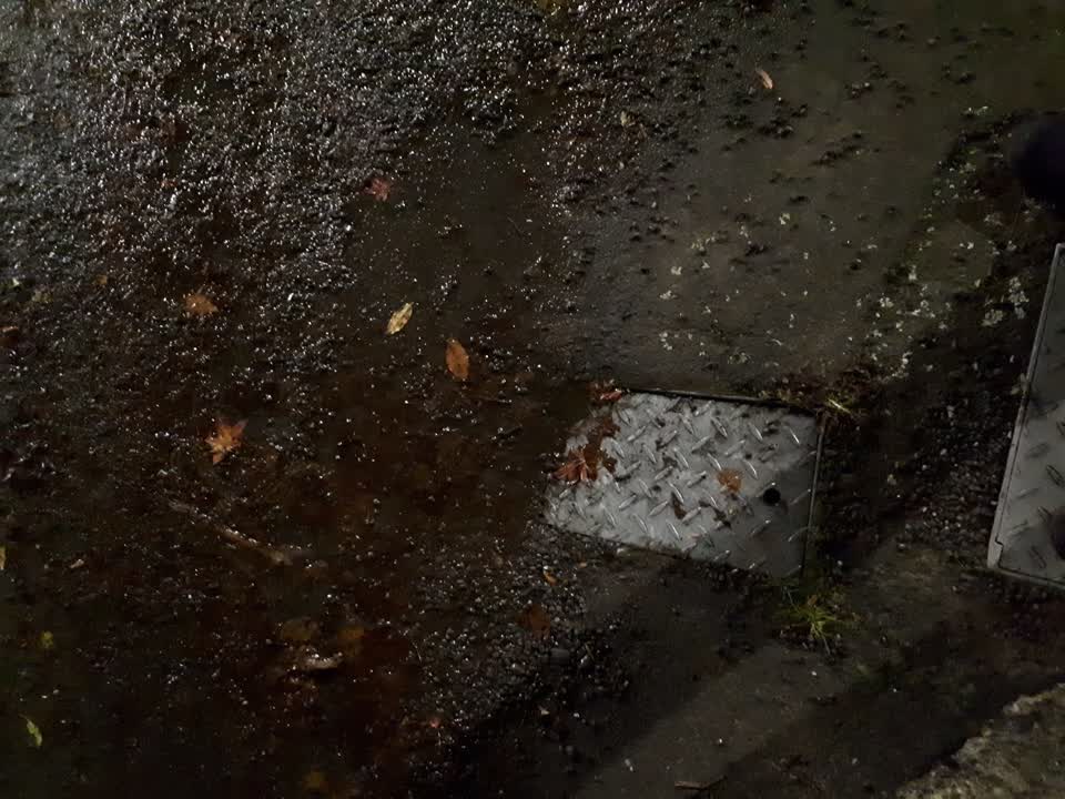 The photograph attached to this water leak report