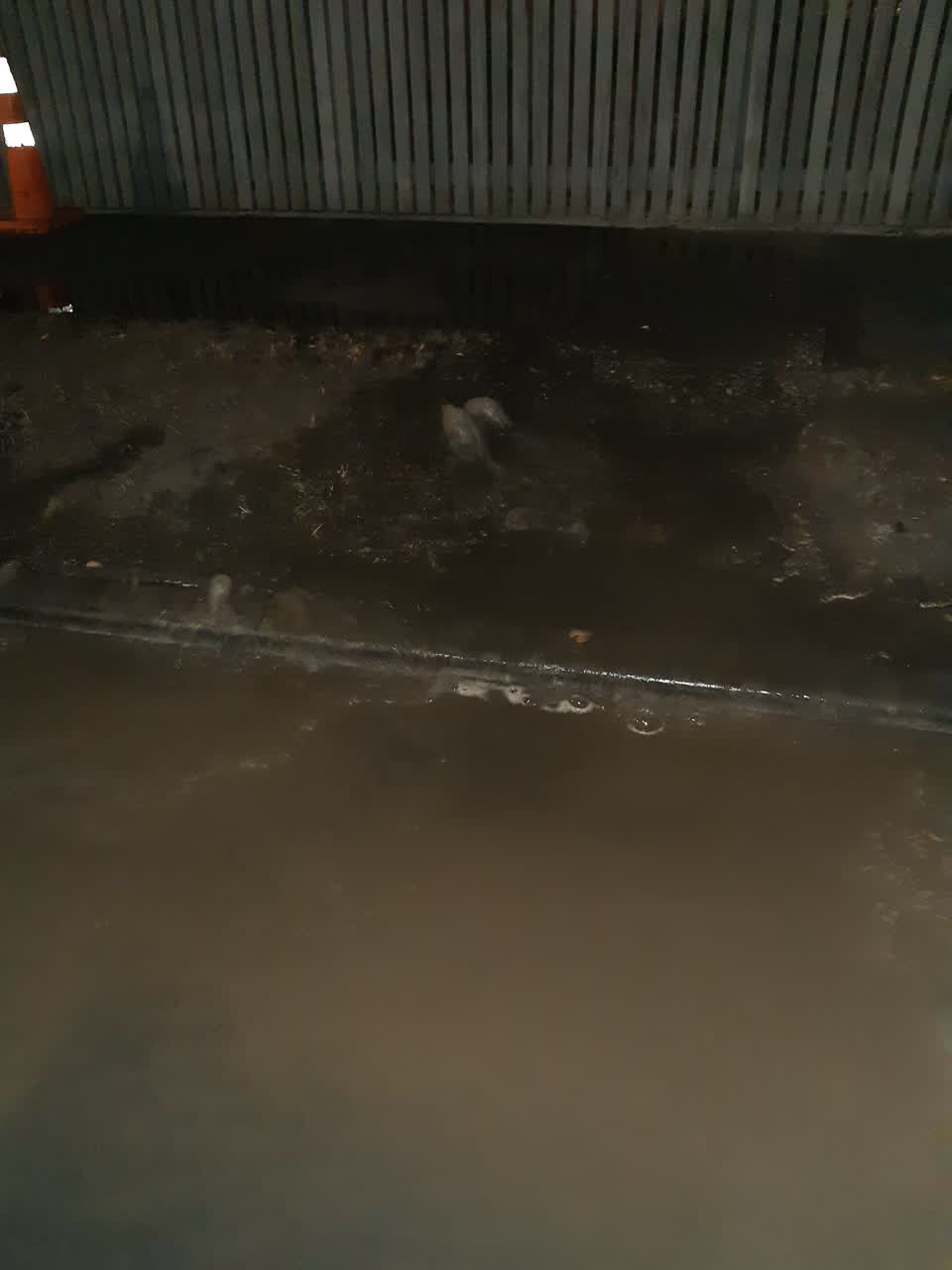 The photograph attached to this water leak report