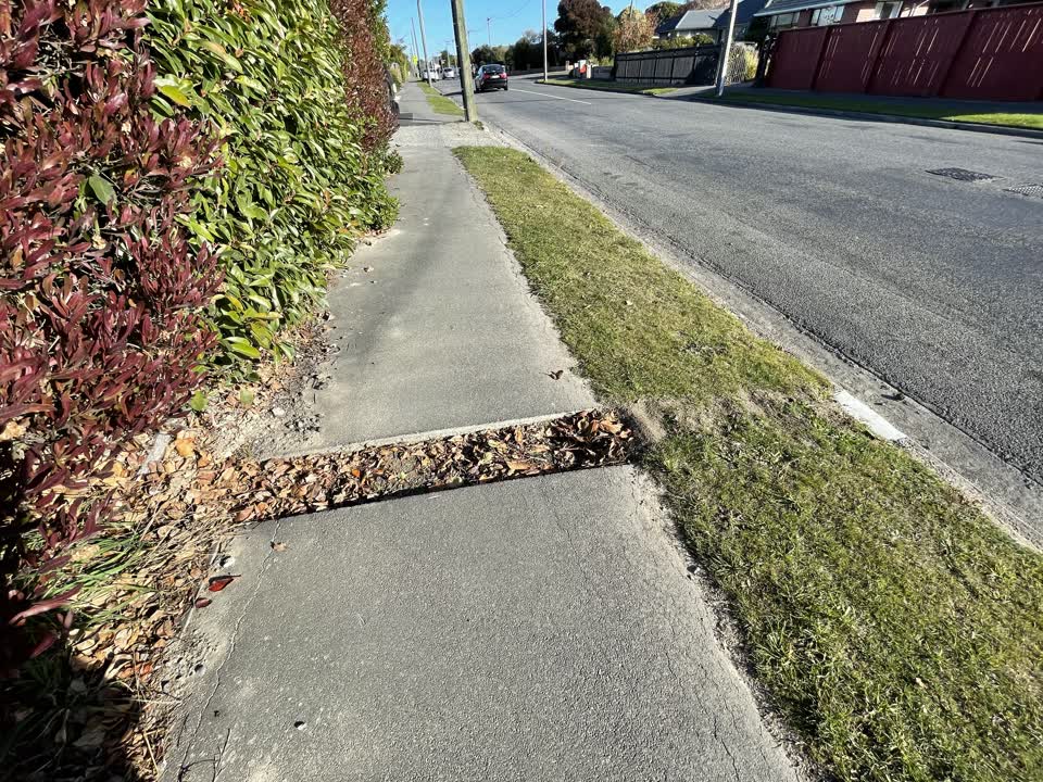 The photograph attached to this roading/streets report