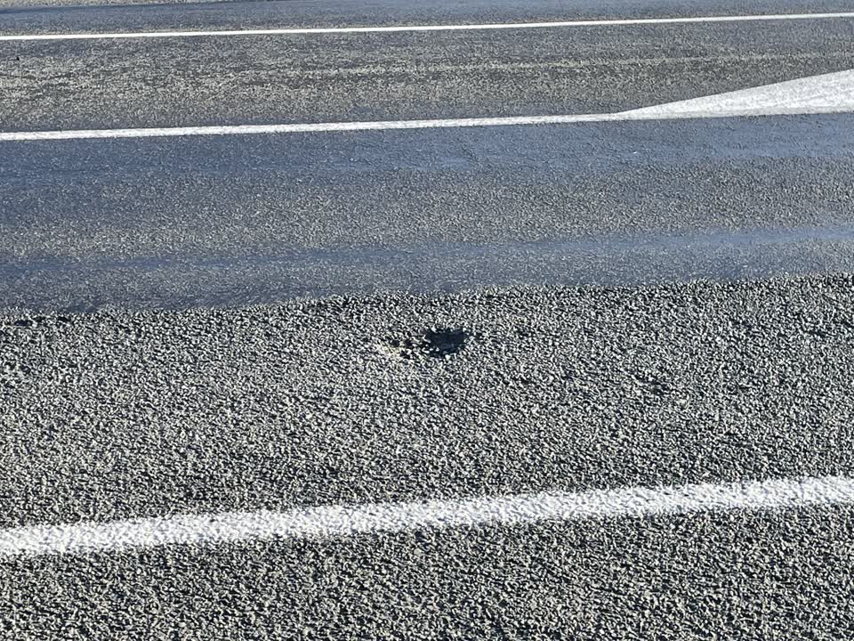 The photograph attached to this roading/streets report