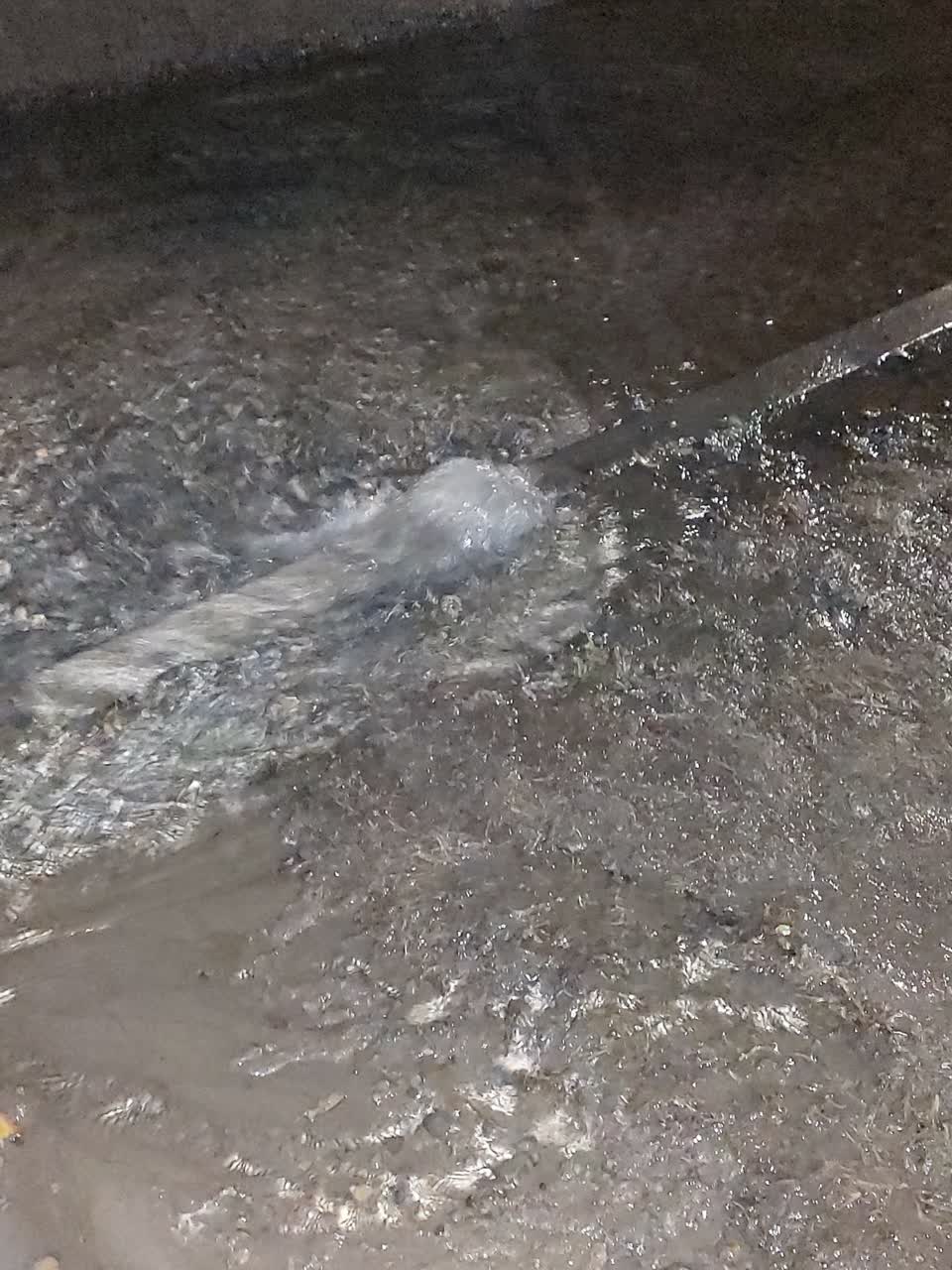 The photograph attached to this water leak report