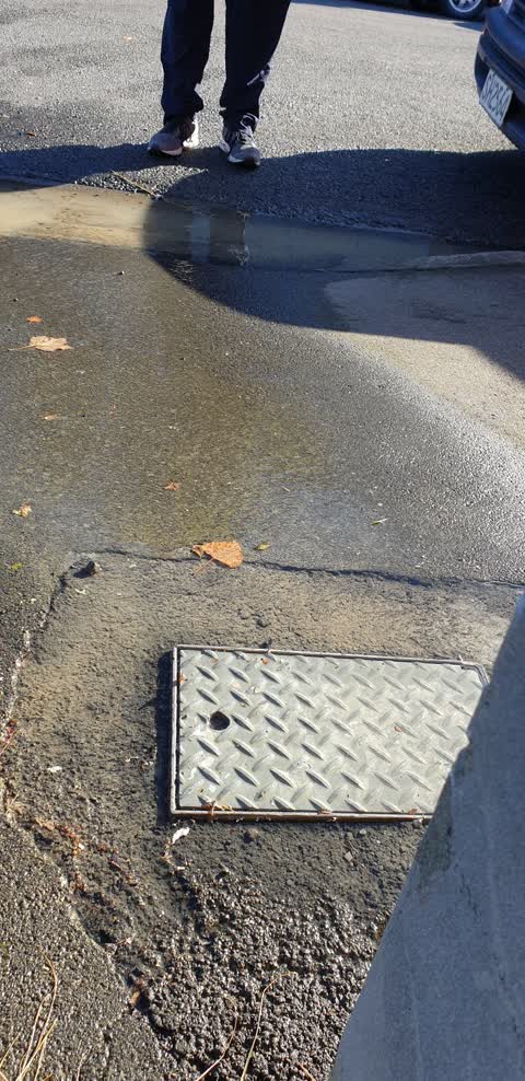 Water Supply, a report photo