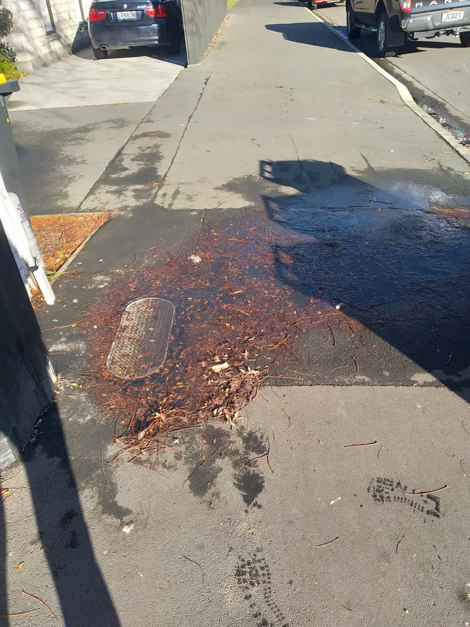 The photograph attached to this roading/streets report