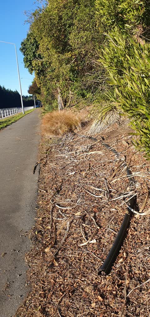 Roading/Streets, a report photo