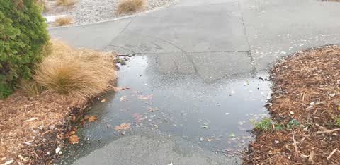 Water Leak — a report photo