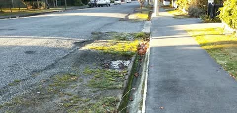 Roading/Streets, a report photo