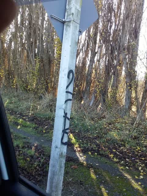 Graffiti, a report photo