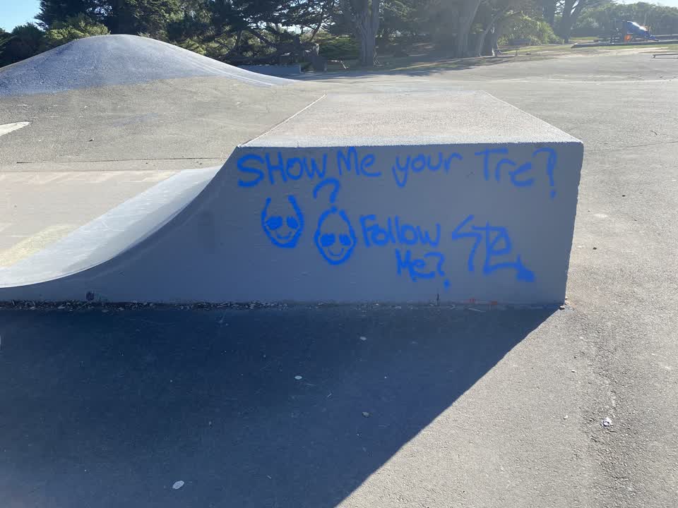 The photograph attached to this graffiti report
