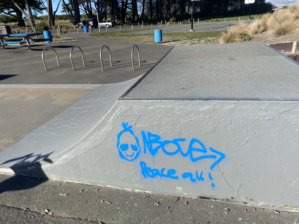The photograph attached to this graffiti report